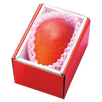 フルーツワールド 【お中元】宮崎マンゴー[1玉] fe-mym450gc 1箱（直送品）