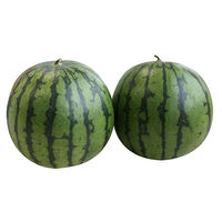 丸松青果 【お中元】山形県尾花沢産 小玉すいか[2玉] 13093111 1箱（直送品）