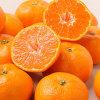 フルーツワールド 【お中元】桃とハウスみかん fw-mmhm36 1箱（直送品）