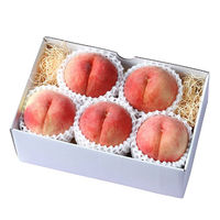 フルーツワールド 【お中元】長野の桃[4~5玉] fw-nm1.1kg 1箱（直送品）
