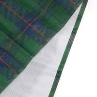 piatto レジャーシート グリーン（90cm×150cm） studio CLIP