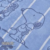 nishikawa スヌーピー フレンドリー パイルタオルケット ブルー FR05600608800 1枚