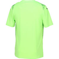 PUMA(プーマ) サッカー ワンポイント TEAMULTIMATE グラフィック ゲームシャツ L 20 706791 1枚（直送品）