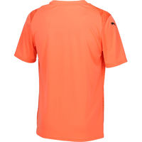 PUMA(プーマ) サッカー ワンポイント TEAMULTIMATE グラフィック ゲームシャツ XXL 38 706791 1枚（直送品）