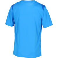 PUMA(プーマ) サッカー ワンポイント TEAMULTIMATE グラフィック ゲームシャツ XL 02 706791 1枚（直送品）