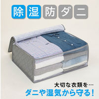 アストロ ドライ&ドライ吸湿防ダニ衣類収納袋 グレー 616-38 1セット(1個×10)（直送品）