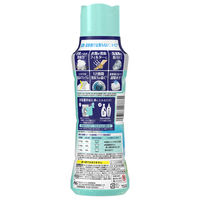 レノア 超消臭 煮沸レベル消臭 抗菌ビーズ 部屋干し 花とおひさまの香り 本体 420mL 1個 抗菌 P＆G【旧品】