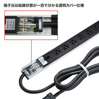 サンワサプライ 19インチサーバーラック用コンセント(20A) TAP-SVSL206 1個（わけあり品）