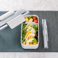 岩崎工業 イージーケアランチボックススリム1段800ml パッキン一体型 お弁当箱 Bー1492 ライトグレー 1個