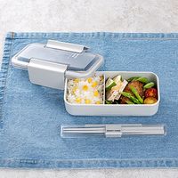 岩崎工業 イージーケアランチボックススリム1段600ml パッキン一体型 お弁当箱 Bー1491 ライトグレー 1個