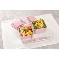 岩崎工業 イージーケアランチボックススクエア2段 パッキン一体型 お弁当箱 食洗器対応 Bー1490 ピンク 1個