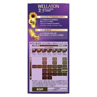 ウエラジャパン ウエラトーンツープラスワン クリームタイプ 6GM 4056800251001 1個(120G)（直送品）