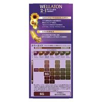 ウエラジャパン ウエラトーンツープラスワン クリームタイプ 6G 4056800250981 1個(120G)（直送品）