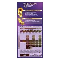 ウエラジャパン ウエラトーンツープラスワン クリームタイプ 4B 4056800251155 1個(120G)（直送品）