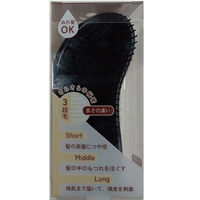 アヌシ ＳＰー１２００　ｐｒｏｔサラつやブラシ 4544434102108 1個（直送品）