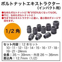 レックス ボルトナットエキストラクター(インパクト用) RT125-10120419A 1セット（直送品）