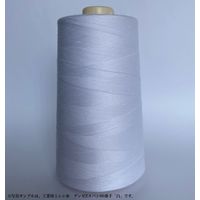 グンゼ 工業用ミシン糸　グンゼZスパン#60/5000m　844番色 gzz60/5000-844 1本(5000m巻)（直送品）