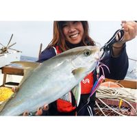 ハヤブサ FS422-80-2 キックボトム ブルーイワシ 1個（直送品）