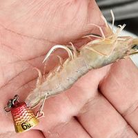 ハヤブサ SE102-8-2 無双真鯛テンヤ サンライズオレンジ 1個（直送品）
