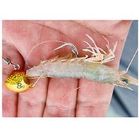 ハヤブサ SE103-12-3無双真鯛カブラグリーンゴールド　1個（直送品）