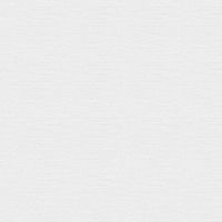 川島織物セルコン ウォッシャブル 防炎 遮熱 ミラーレースカーテン DC1014S 1000×1830mm ライトベージュ 1枚（直送品）