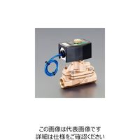 エスコ AC200V・Rc 1” 2方向電磁弁(パイロット式) EA153HB-20 1個（直送品）