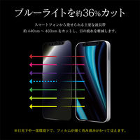 iPhone 12/iPhone 12 Pro ガラスフィルム 液晶保護フィルム 全画面保護 ソフトフレーム ブルーライトカット ブラック（直送品）
