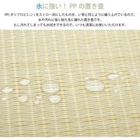萩原 水拭きできる すき間ができにくい い草風 小型置き畳 幅650×奥行650×高さ15mm グリーン 159055211 1枚（直送品）