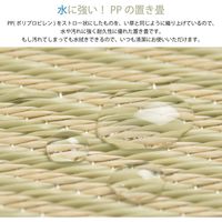 萩原 水拭きできる い草風 置き畳 彩模様 幅820×奥行820×高さ25mm ブラウン 159055692 1セット(9枚入)（直送品）