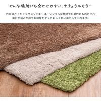 萩原 シャギータイプ 玄関マット リオ 450×750mm ブラウン 600011810 1枚（直送品）