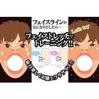 セーブ・インダストリー フェイストレッチ ハードタイプ SV-4458 1個（直送品）