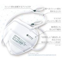 ヤマシンフィルタ　DS2マスク　防じんマスク　ゼクシード6240　1箱（20枚入）