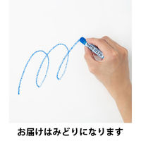 ぺんてる パステル みどり 10個 GHS-T21R