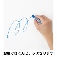 ぺんてる パステル ぐんじょう 10個 GHS-T25R