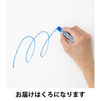 ぺんてる パステル くろ 10個 GHS-T28R