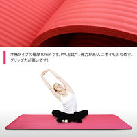 3枚 ヨガマット 紺 ストレッチ マット 10mm トレーニング エクササイズ（直送品）