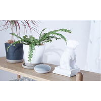 ネイチャー 【限定商品】Nature Remo mini 2 REMO-2W2 1個