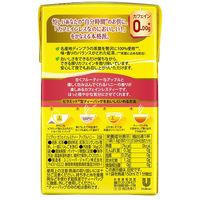 リプトン カフェインレスティー アップルハニー ティーバッグ 1個（20バッグ入）