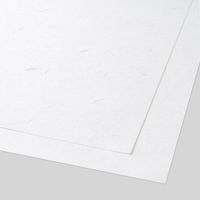 大直 大礼紙 白 A3 50枚入 206070101 1セット(50枚入)