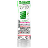 ジョイ W除菌 食器用洗剤 緑茶 逆さボトル 290mL 1個 P&G