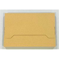 ゆうパケット対応薄型ダンボール 1セット（100枚：10枚入×10袋） 縦226×横336×厚さ30mm RGコンテナー