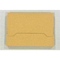 【高さ3cm対応】ネコポス対応薄型ダンボール 1セット（100枚：10枚入×10袋） 縦226×横310×厚さ30ｍm RGコンテナー