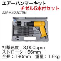 レックス エアーハンマーキット RPA-87-9619K-LH 1セット（直送品）