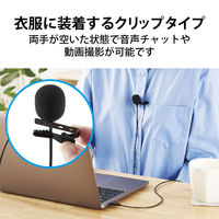 PCマイク ピンマイク クリップマイク USB Type-C接続 収納ポーチ 1.8m HS-MC09CBK 1個 エレコム