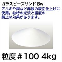 レックス ガラスビーズサンドBw粒度#100(4kg) G10095-4N 1箱(4kg1袋入)（直送品）