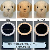 浅沼商会 LEDリングライト 1個