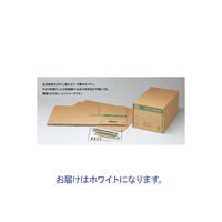 ゼネラル　文書保存箱　イージーキャビネット　引き出しタイプ　ホワイト　 A4用　1枚（わけあり品）