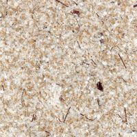 家庭化学工業 繊維壁 若椛 NO.5 2010g 4905488010359 1袋（直送品）