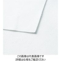 ハネクトーン早川 半袖エレガンスポロ（裏カノコ） ホワイト M WP320-7-M 1枚（直送品）