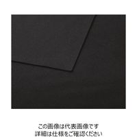 ハネクトーン早川 半袖エレガンスポロ（裏カノコ） ブラック LL WP320-8A-LL 1枚（直送品）